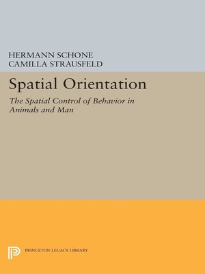 cover image of Spatial Orientation